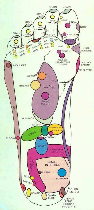 Reflexology Reflexology Foot Reflexology