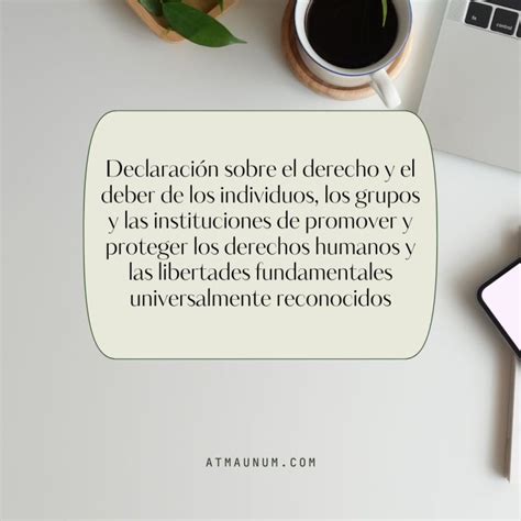 Declaración Sobre El Derecho Y El Deber De Los Individuos Los Grupos Y