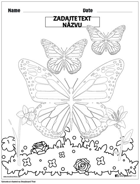 Omaľovánka motýľa Storyboard af sk examples