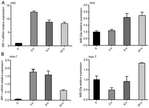 Expression Of Mir A Is Inversely Correlated With Irf Mrna In A