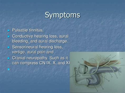 PPT - Glomus jugular tumor PowerPoint Presentation - ID:3735892