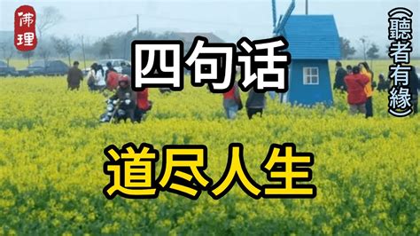 佛理：四句话，道尽人生 佛理 佛禪 人生哲理 Youtube