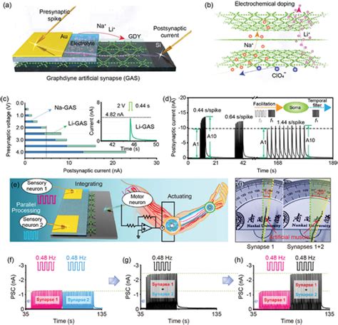 Full Article Recent Progress In Neuromorphic And Memory Devices Based