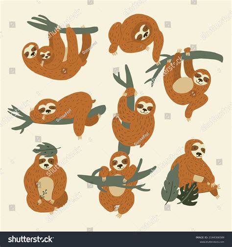 Sloth South America Animal Vector Illustration Stock Vector Royalty