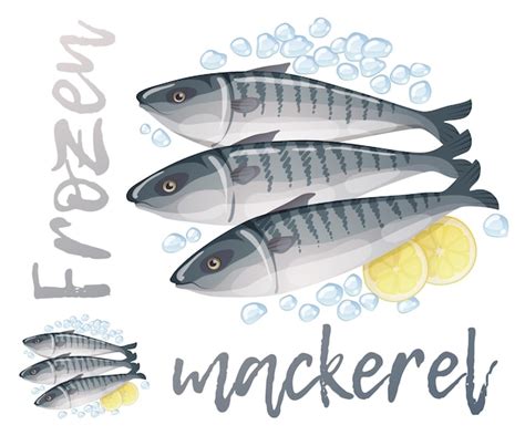 Premium Vector Frozen Mackerel Fish Illustration Cartoon Vector Fresh