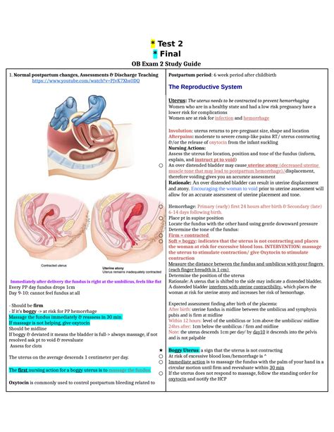 Solution Nursing Ob Exam Study Guide Ob Hartman Gold A Guide