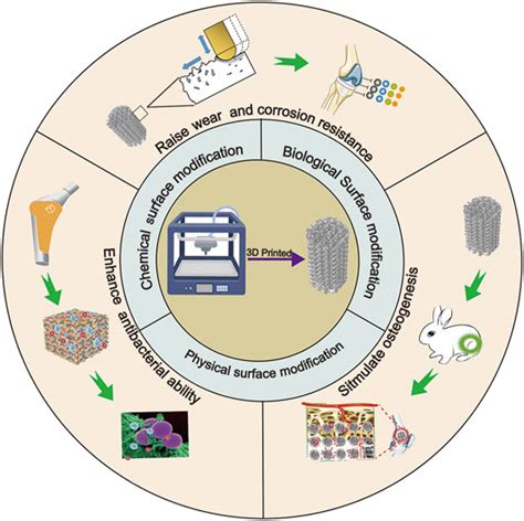 Frontiers Advanced Surface Modification For 3d Printed Titanium Alloy Implant Interface
