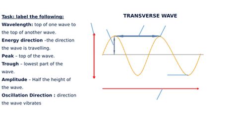 Transverse And Longitudinal Wave Diagram Label Worksheets Differentiated Teaching Resources