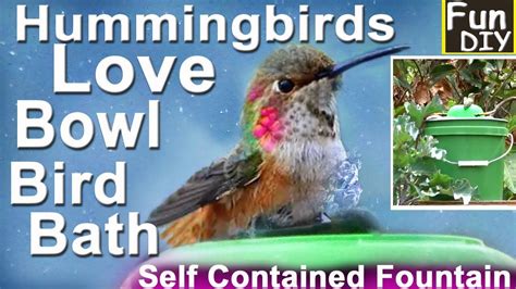 How To Make Hummingbird Endless Water Fountain Bowl Bird Bath Easy