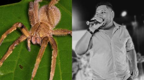 Muere Cantante De 28 Años Tras Extraña Picadura De Araña