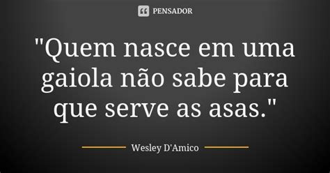 Quem Nasce Em Uma Gaiola Não Sabe Wesley Damico Pensador