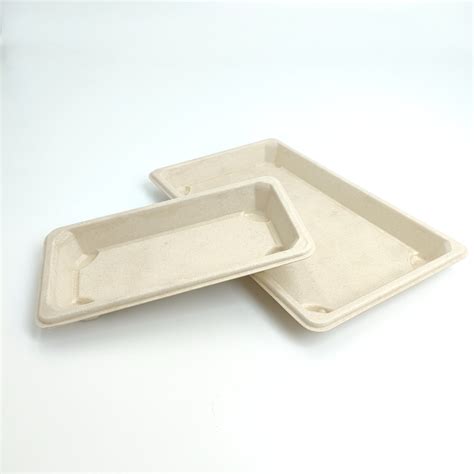 Compostable Food Container Pulp Paper Box Takeout Biodegradable Plate