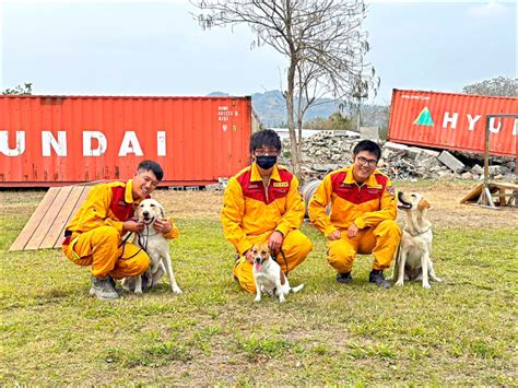 花蓮搜救犬 通過中級認證 生活 自由時報電子報