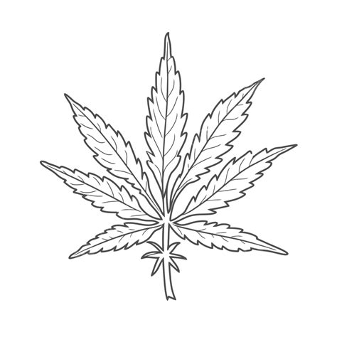 Dibujo De Boceto De Hoja De Marihuana Para Colorear Gratis Vector Png Porn Sex Picture