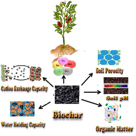 Frontiers Biochar As A Tool For The Improvement Of Soil And Environment