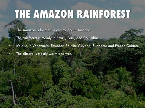 The Amazon Rainforest By Kyle Gelatko