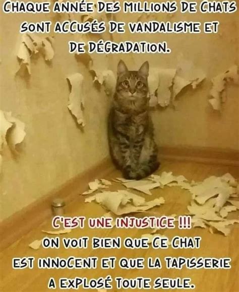 Épinglé Sur Funny