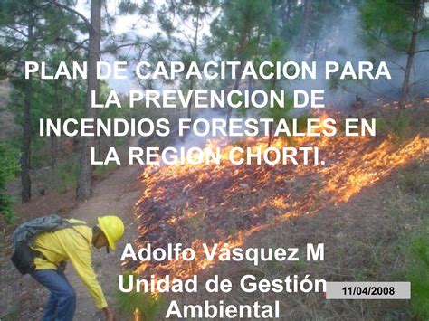 Plan De Prevenci N De Incendios Forestales Regi N Chort