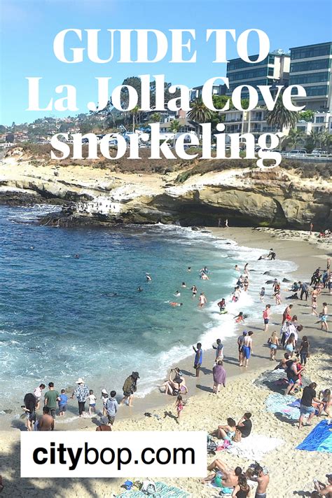 5 Best Things To Do At La Jolla Cove Artofit