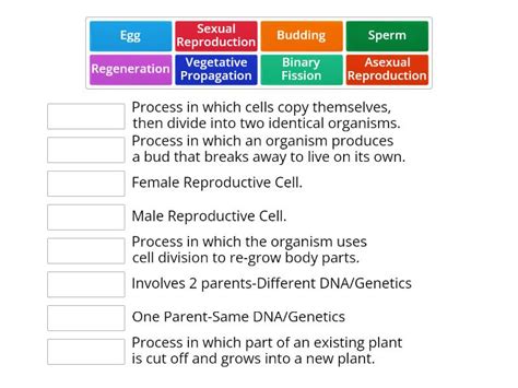 Sexual Vs Asexual Reproduction Une Las Parejas