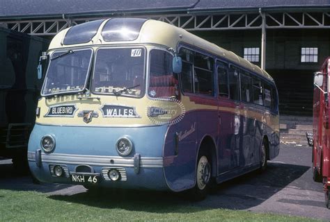 The Transport Library Blue Bird Hull Leyland PSU1 15 NKH46 In