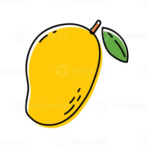 Ilustraciones De Mango Fruit Sketch Png