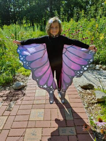 Butterfly Garden And Memorial Brick Path Friends Of Lapham Peak Unit