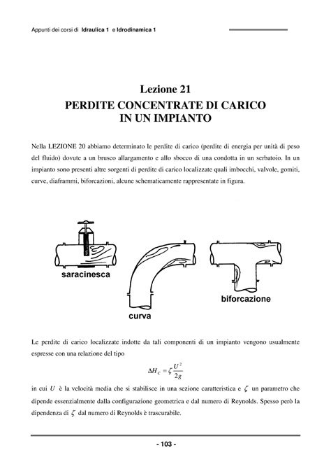 Perdite Concentrate Appunti Di Lezione 1 Appunti Dei Corsi Di