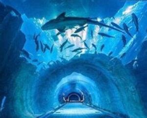 Dubai Aquarium & Underwater Zoo: Penguin Cove & Nursery