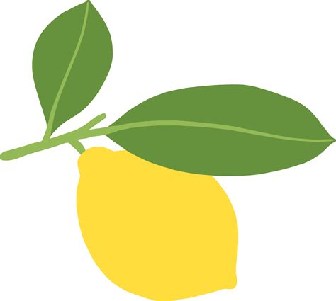 doodle freehand sketch drawing of lemon fruit. 12598150 PNG