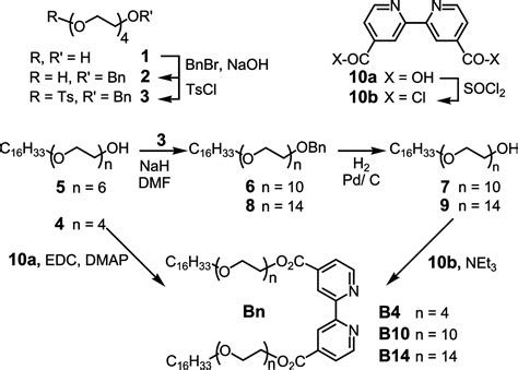 Fusogenic Supramolecular Vesicle Systems Induced By Metal Ion Binding To Amphiphilic Ligands Pnas