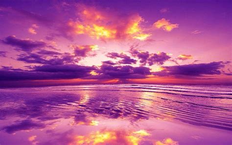 Purple Sky In Colorful Landscape Purple Sky Sunset Wallpaper