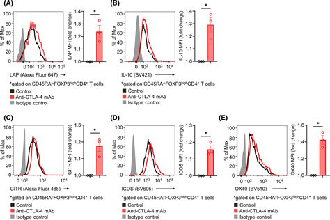 Activated Ctla‐4‐independent Immunosuppression Of Treg Cells Disturbs