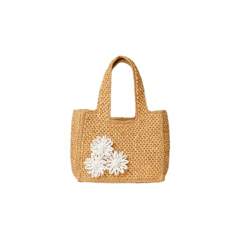 Accessories | Snappy Turtle