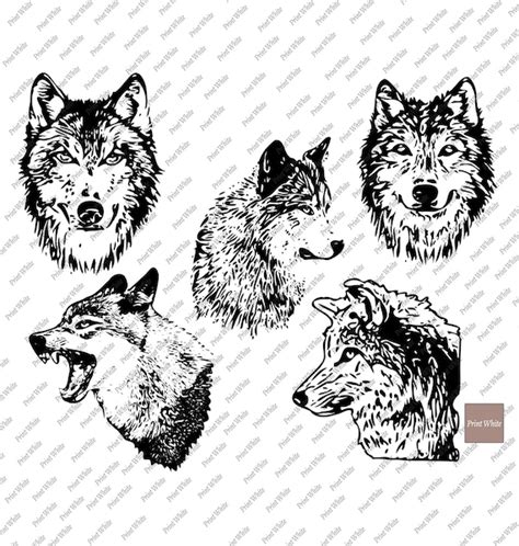 Wolf Side View Drawing
