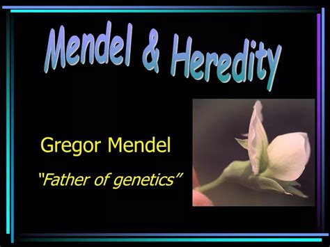 Ppt Gregor Mendel Powerpoint Presentation Free Download Id9354161