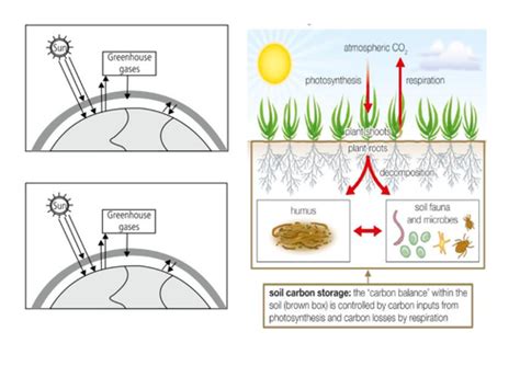 6 7 A Balanced Carbon Cycle The Carbon Cycle And Energy Security