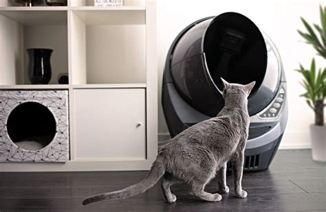 Litter Robot Connect Reconditioned Self Cleaning Litter Box