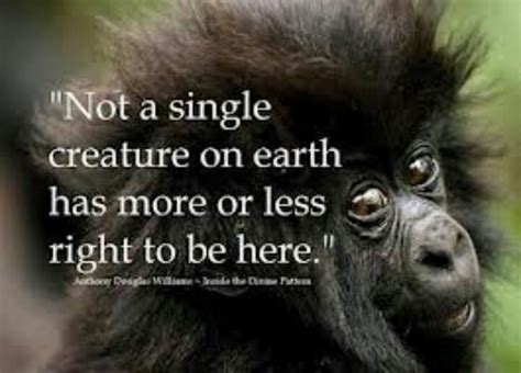 Quotes about Endangered animals (30 quotes)