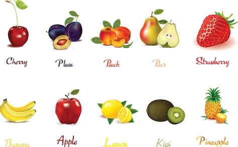 Premium Vector A Fruit List With The Names Of Fruits And Vegetables