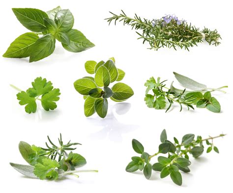 A Guide To Cooking With Fresh Herbs How To Use Fresh Herbs The Produce Mom