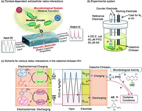 Redox Capacitor To Connect Electrochemistry To Redox Biology Analyst Rsc Publishing Doi10