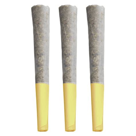 Buy Pre Rolls Online In Canada Montrose Cannabis