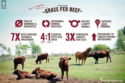 Uruguay Is One Of The Best Source For Grass Fed Organic Beef Forbes