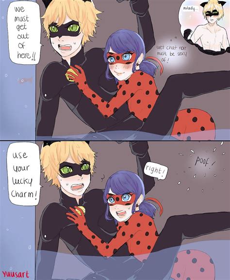 Miraculous Ladybug Lady Noir Fan Art Nbkomputer