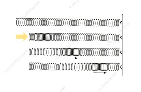 Primary seismic waves - Stock Image - E360/0009 - Science Photo Library