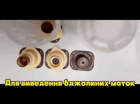 Професійне виведення бджолиних маток