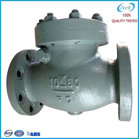 JIS F 7373 10k 80 Marine Cast Iron Swing Check Valve Full Open Swing