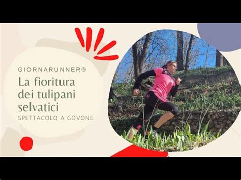 Lo Spettacolo Della Fioritura Dei Tulipani Selvatici A Govone YouTube