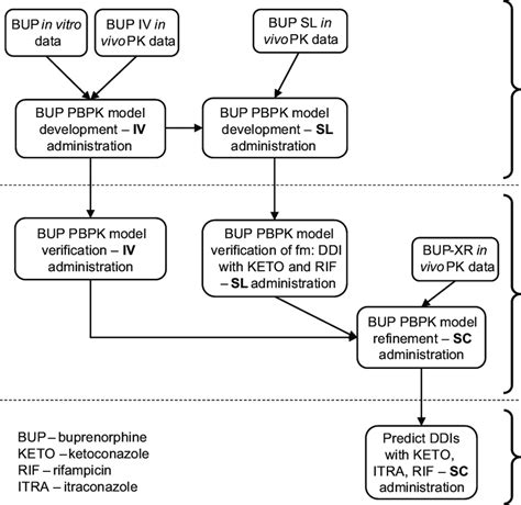 Overall Pbpk Modeling Approach Download Scientific Diagram